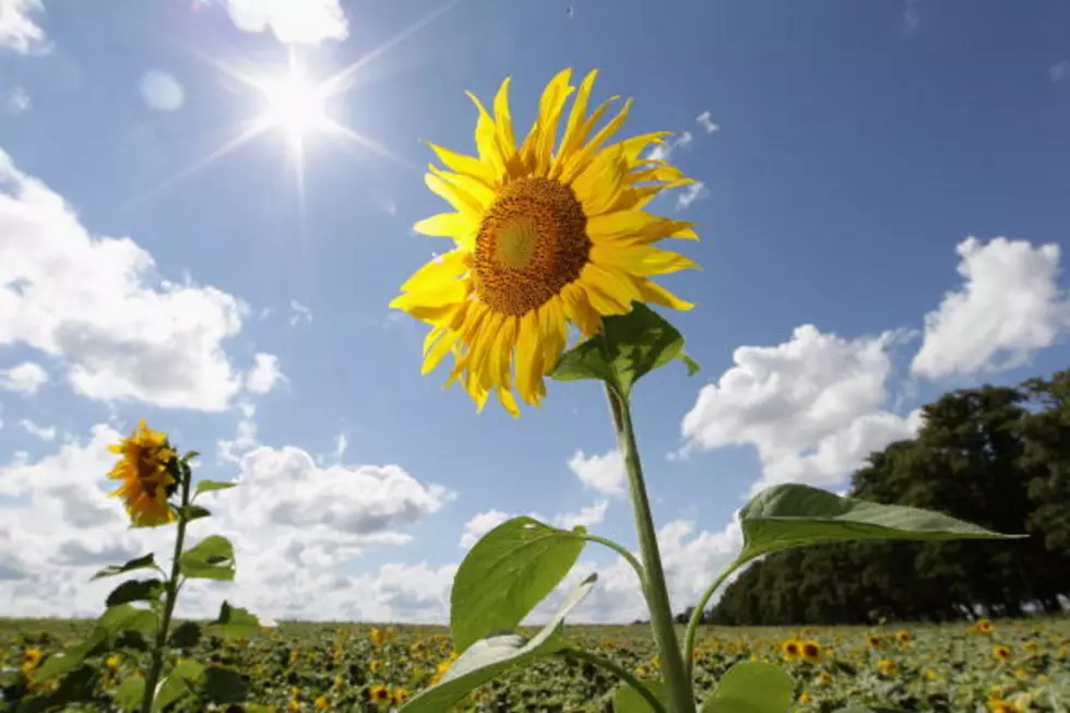 A Colorado Cool Down Is Coming This Weekend