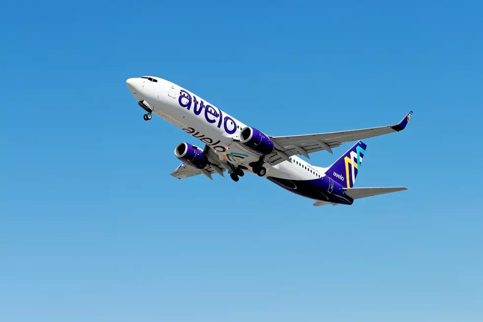 Wanna Go To Vegas? Direct Northern Colorado To Vegas Flights Are Back.