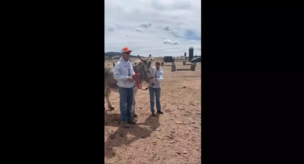 The New Mayor in a Colorado Town is Literally an Ass