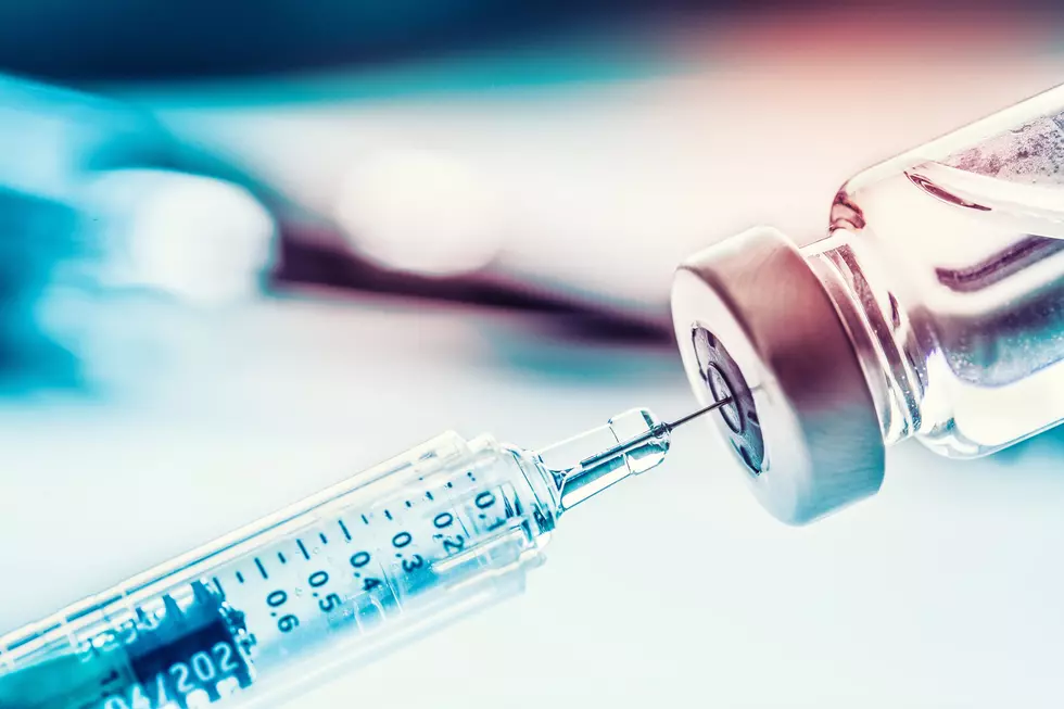 CSU Vaccine Researchers Preparing For Future Pandemics