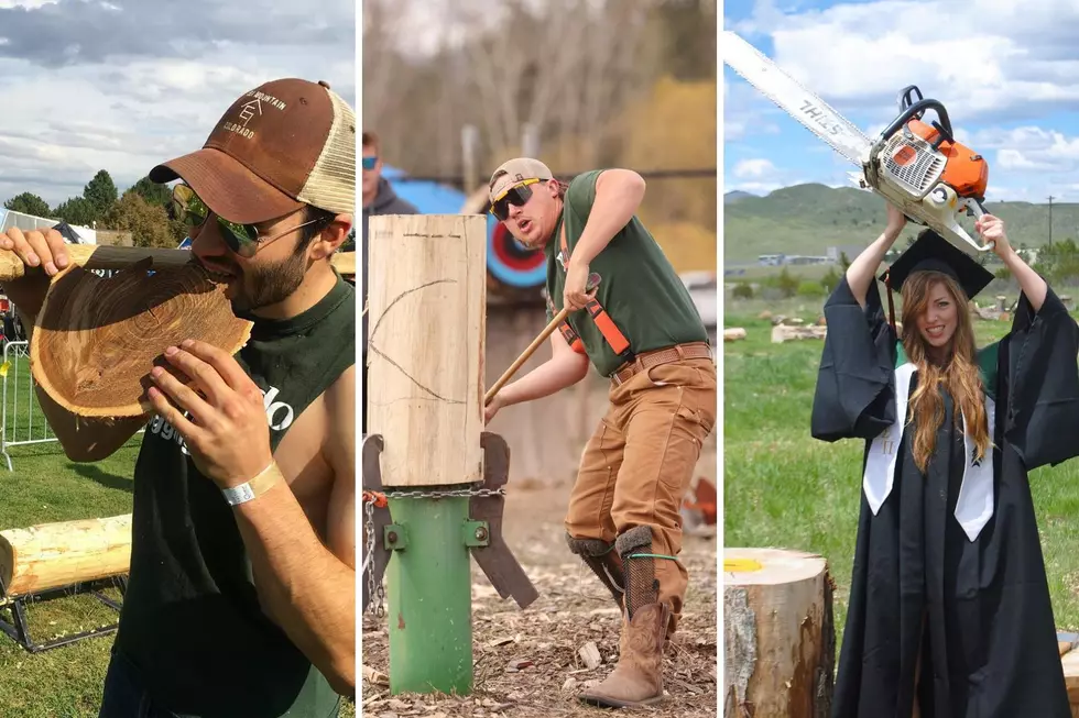 Colorado State University Has a Logging Team — But What is Logging?